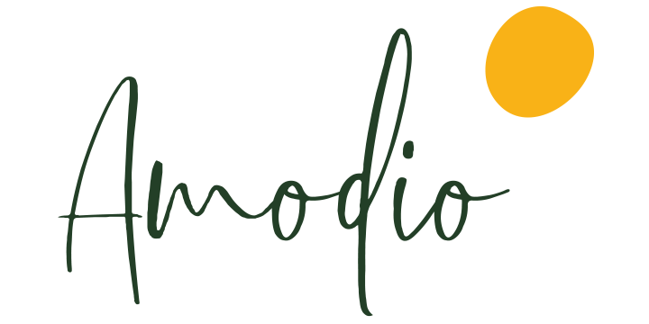 Amodio Studio